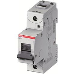 S801C-C80 - 2CCS881001R0804