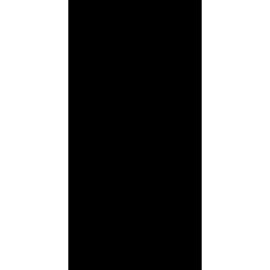 S 2 NT - GHS2701908R0001